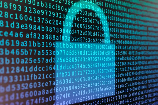 Zero Trust Security