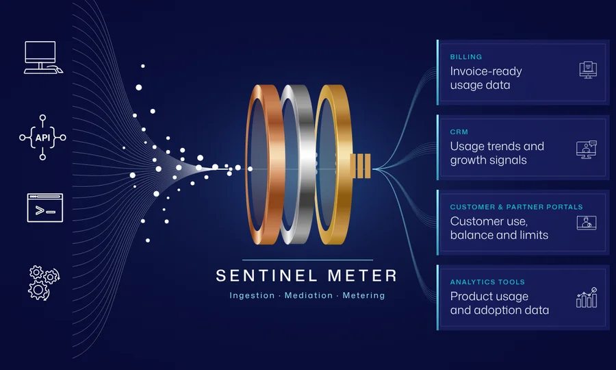 sentinel usage