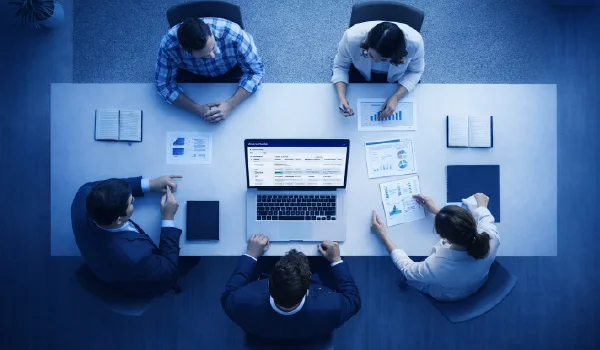 Software Monetization services