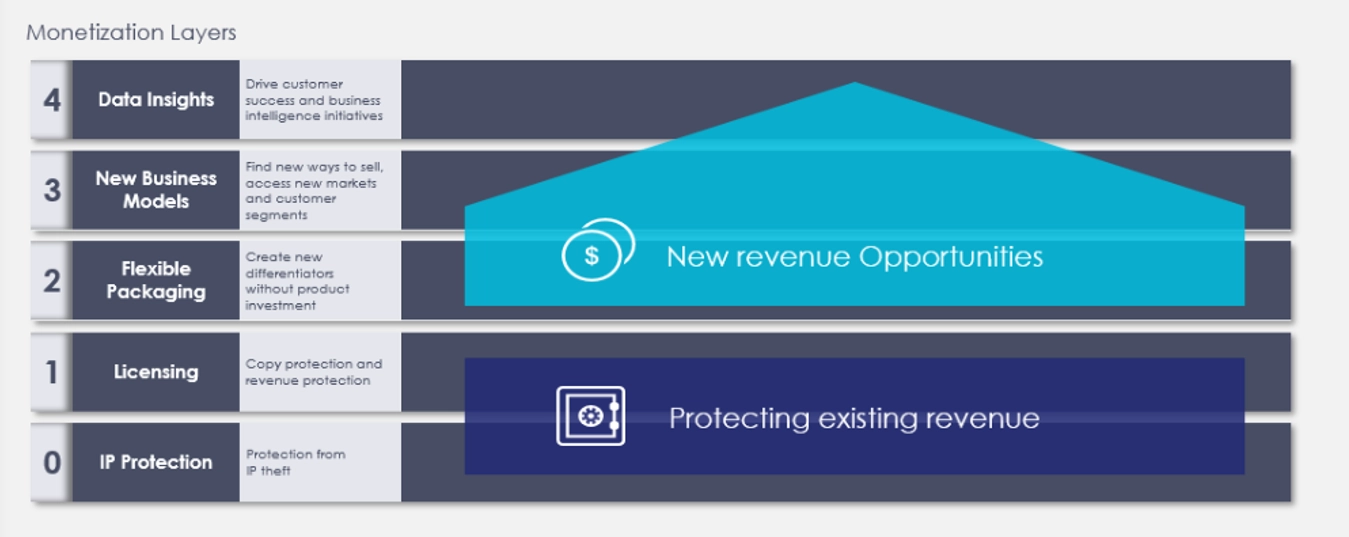 what is software monetization