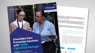 Data Protection for Snowflake AI Data Cloud