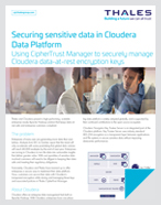 Securing sensitive data in Cloudera Data Platform - Solution Brief