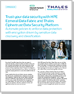 Trust your data security with HPE Ezmeral Data Fabric and Thales Ciphertrust Data Security Platform