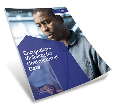 Encryption and Visibility for Unstructured Data – Solution Brief
