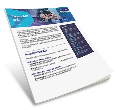 Thales API 安全 - 解决方案简介