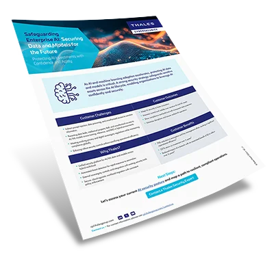 Safeguarding Enterprise AI Data & Models - Solution Brief