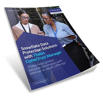 Data Protection for Snowflake AI Data Cloud - Solution Brief