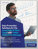 Data Protection for Snowflake AI Data Cloud - Solution Brief
