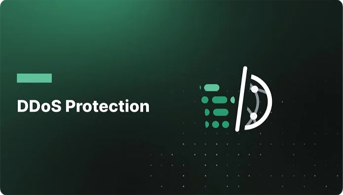 DDoS Protection thumbnail