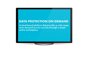 Data Protection on Demand: Protect What You Need, When You Need It - Video
