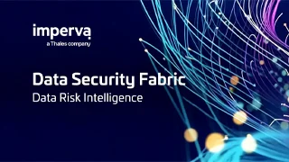 Data Security Fabric Data Risk Intelligence