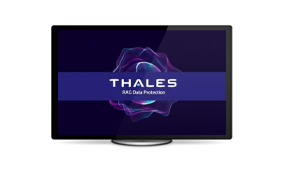 Protecting Sensitive Data in Retrieval-Augmented Generation (RAG) - Video