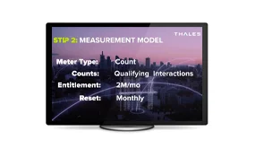 Usage-Based Monetization Demo: From API Usage to Accurate Billing - Video