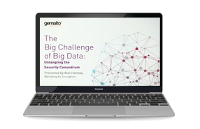 The Big Challenge of Big Data: Untangling the Security Conundrum-Webinar