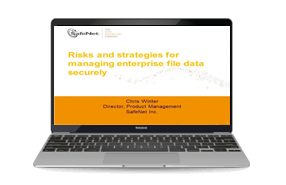 Risks and Strategies: Managing Enterprise File Data Securely 