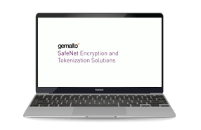SafeNet Encryption and Tokenization Solutions - Webinar