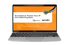 Surveillance: Protect Your IP From Watching Eyes 