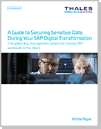 A Guide to Securing Sensitive Data During Your SAP Digital Transformation