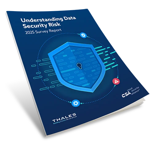 Understanding Data Security Risk 2025 Survey Report thumbnail