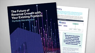 Portfolio Monetization Guide for Revenue Growth