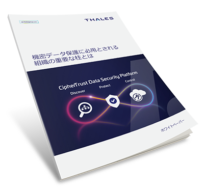 The Key Pillars for Protecting Sensitive Data in Any Organization