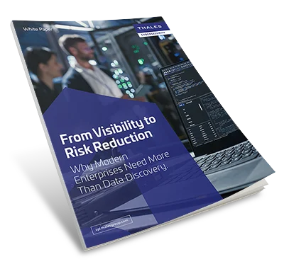 From Visibility to Risk Reduction - White Paper