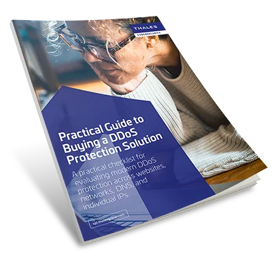 Practical Guide to Buying a DDoS Protection Solution - White Paper