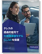 透過的暗号で大規模言語モデル（LLM）を保護 – ホワイトペーパー