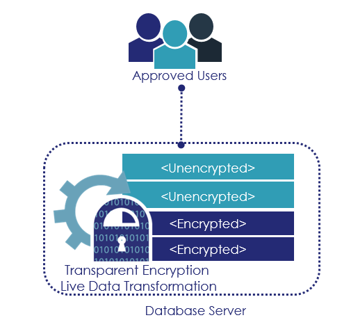 Diagrama CipherTrust Transparent Encryption