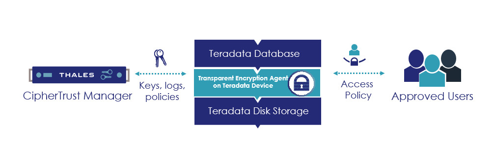 CipherTrust Transparent Encryption per database Teradata