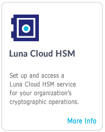 Luna Cloud HSM 