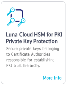 Luna Cloud HSM for PKI PrivateKey Protection