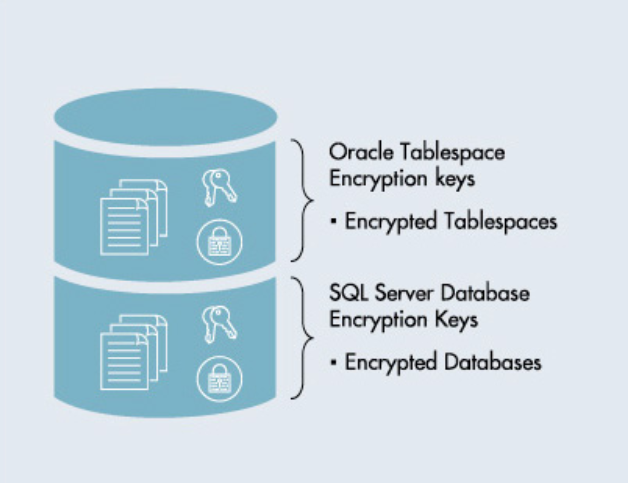 gerenciamento de chaves TDE com criptografia transparente do banco de dados