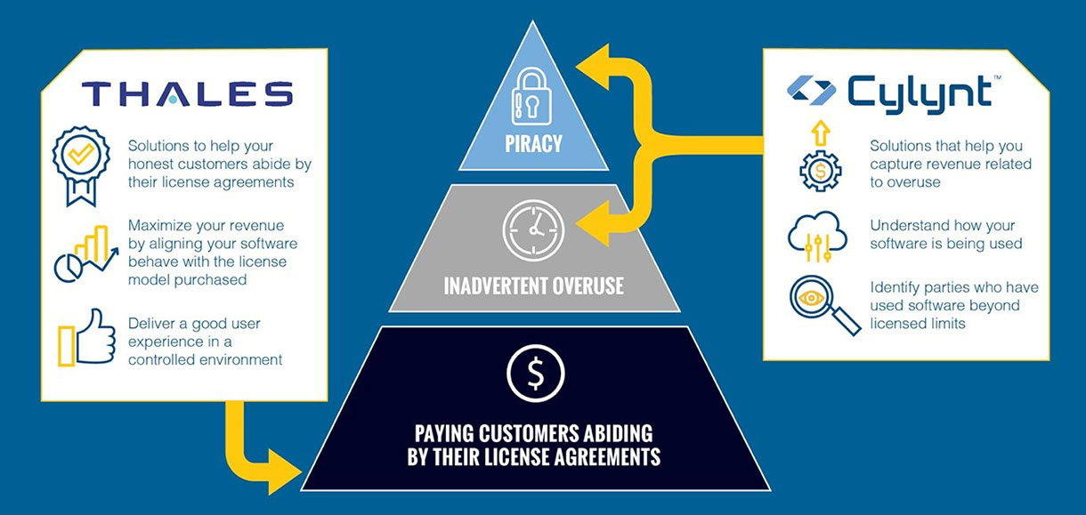 software piracy infographic