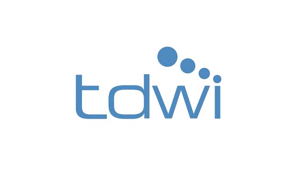TDWI Thales Partners