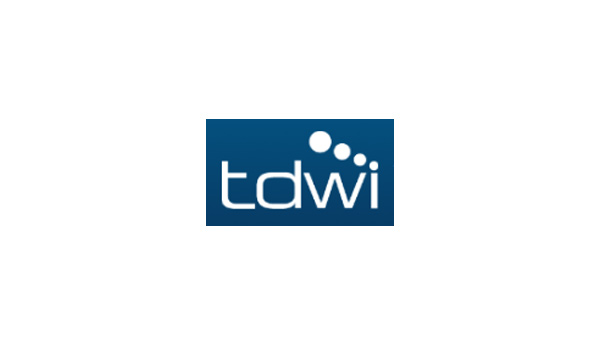 TDWI Thales Partners
