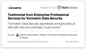 Vormetric Data Security Enterprise Professional Servicces